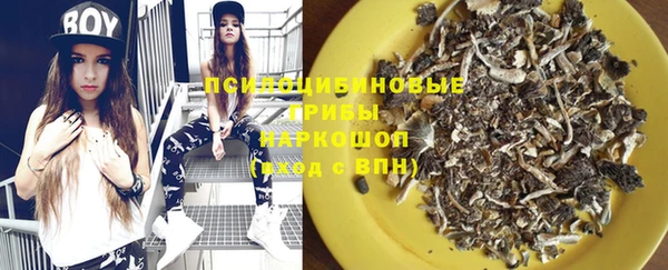 экстази Арсеньев