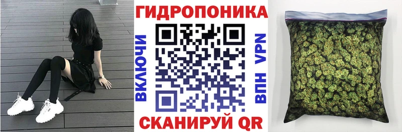 блэк спрут как войти  Сосновка  Марихуана Ganja 